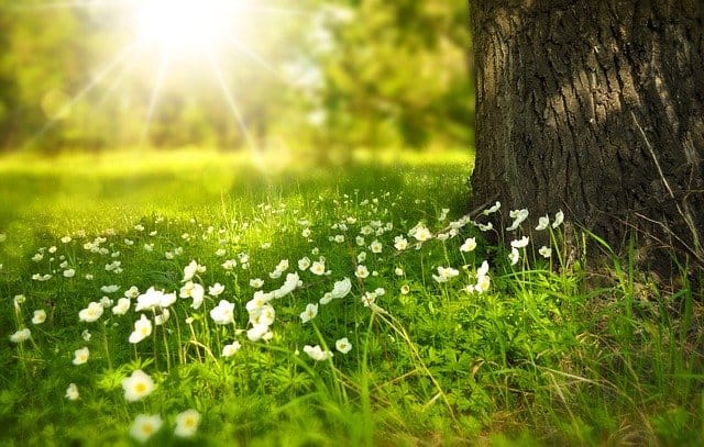 nature in libertyville il